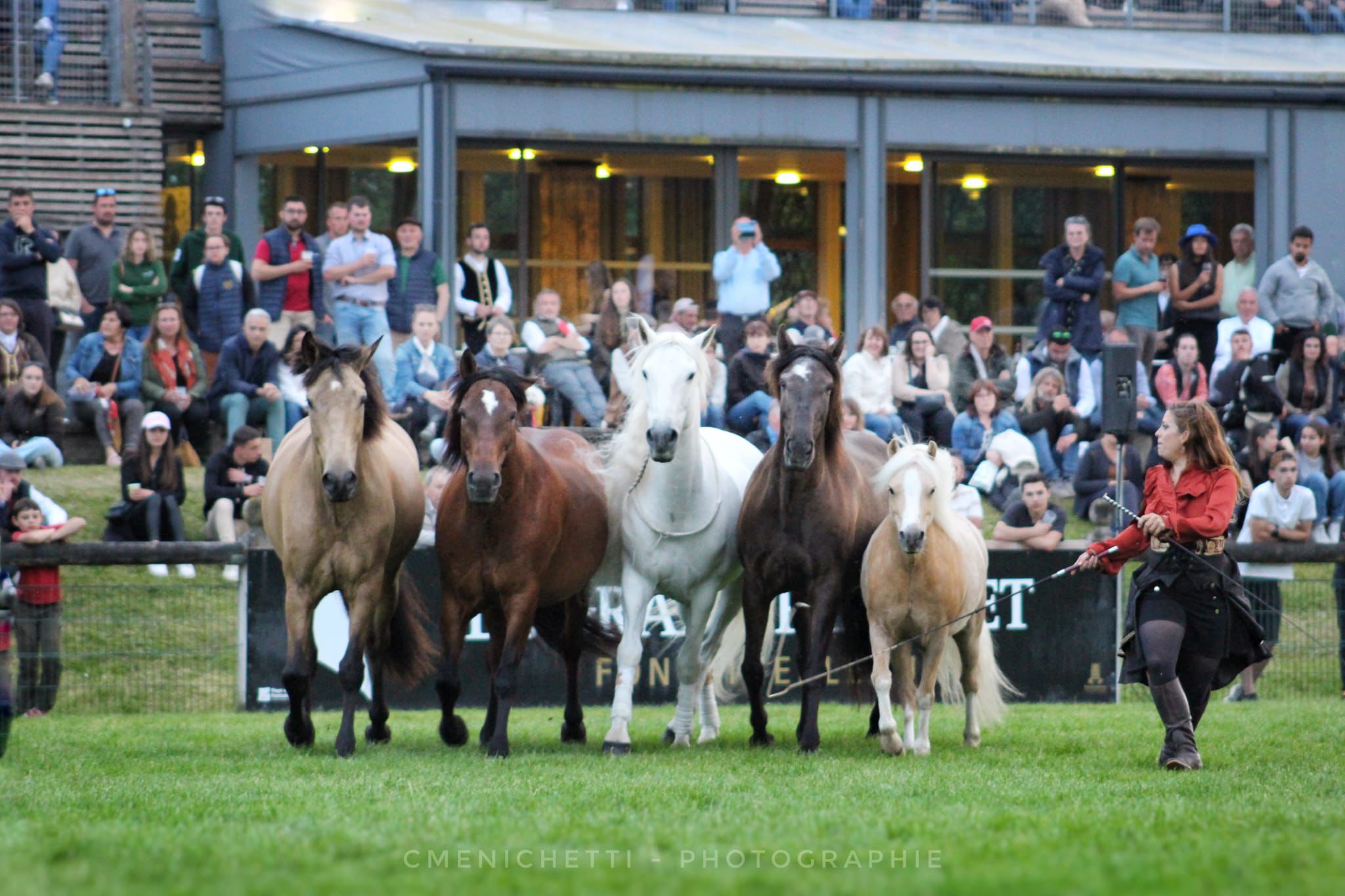05038d7b-abbb-4341-87ac-2061683bcea2 Gilliane senn et son cheval