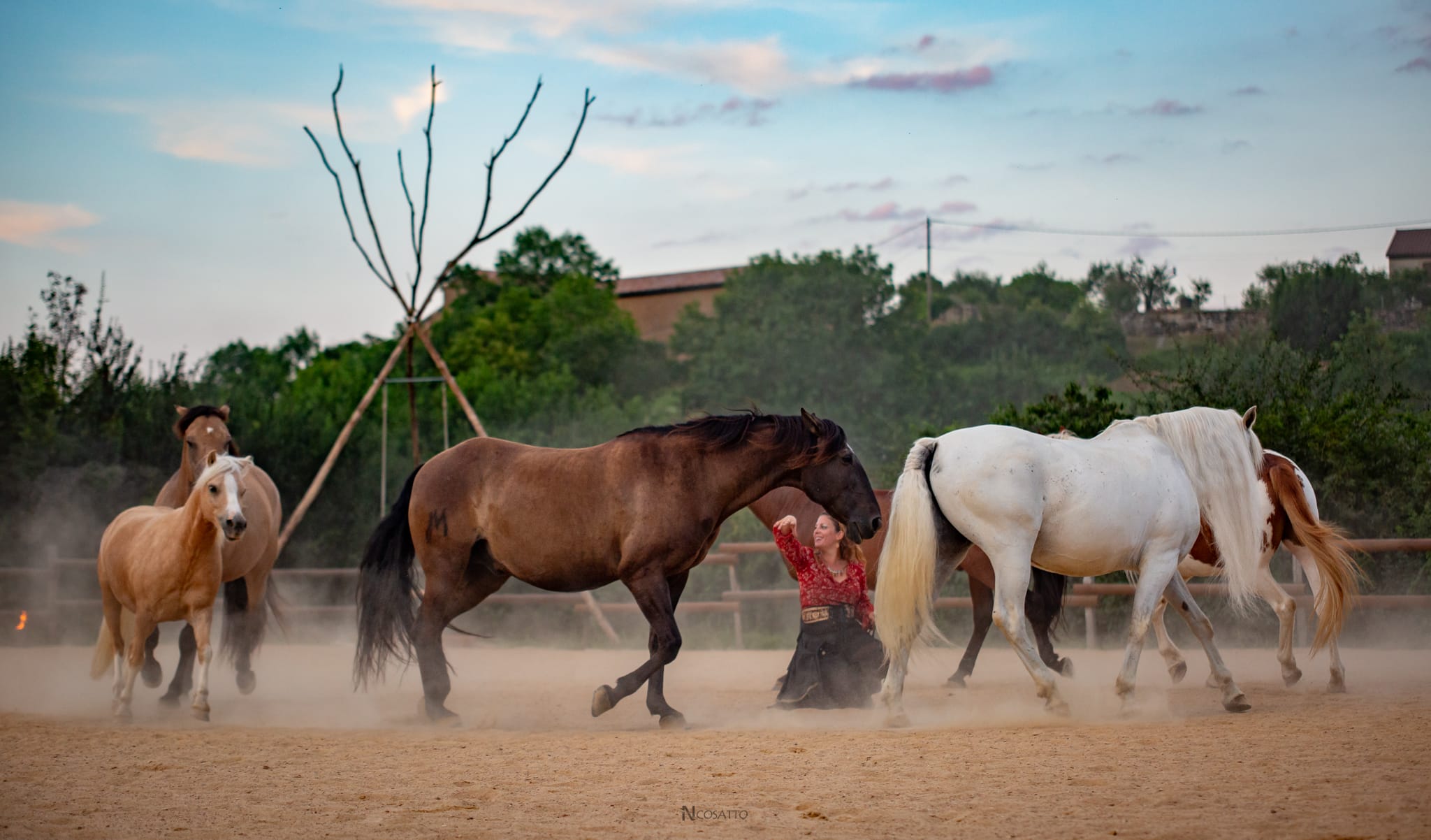 522c7709-86b7-4683-baca-2842cce1627d Gilliane senn et son cheval