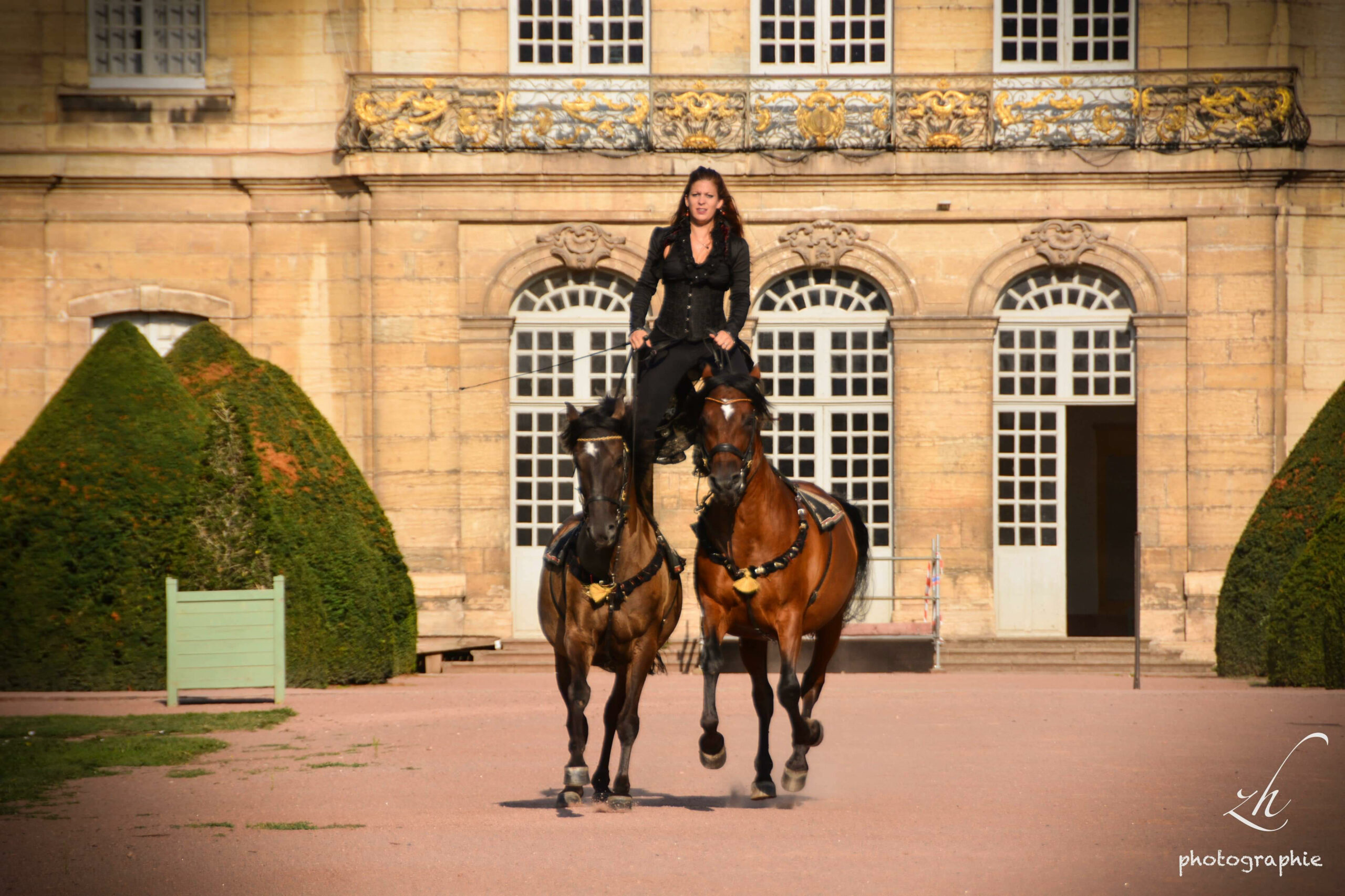 78089739_2714123811978647_8293151149255557120_n Gilliane SENN et ses chevaux