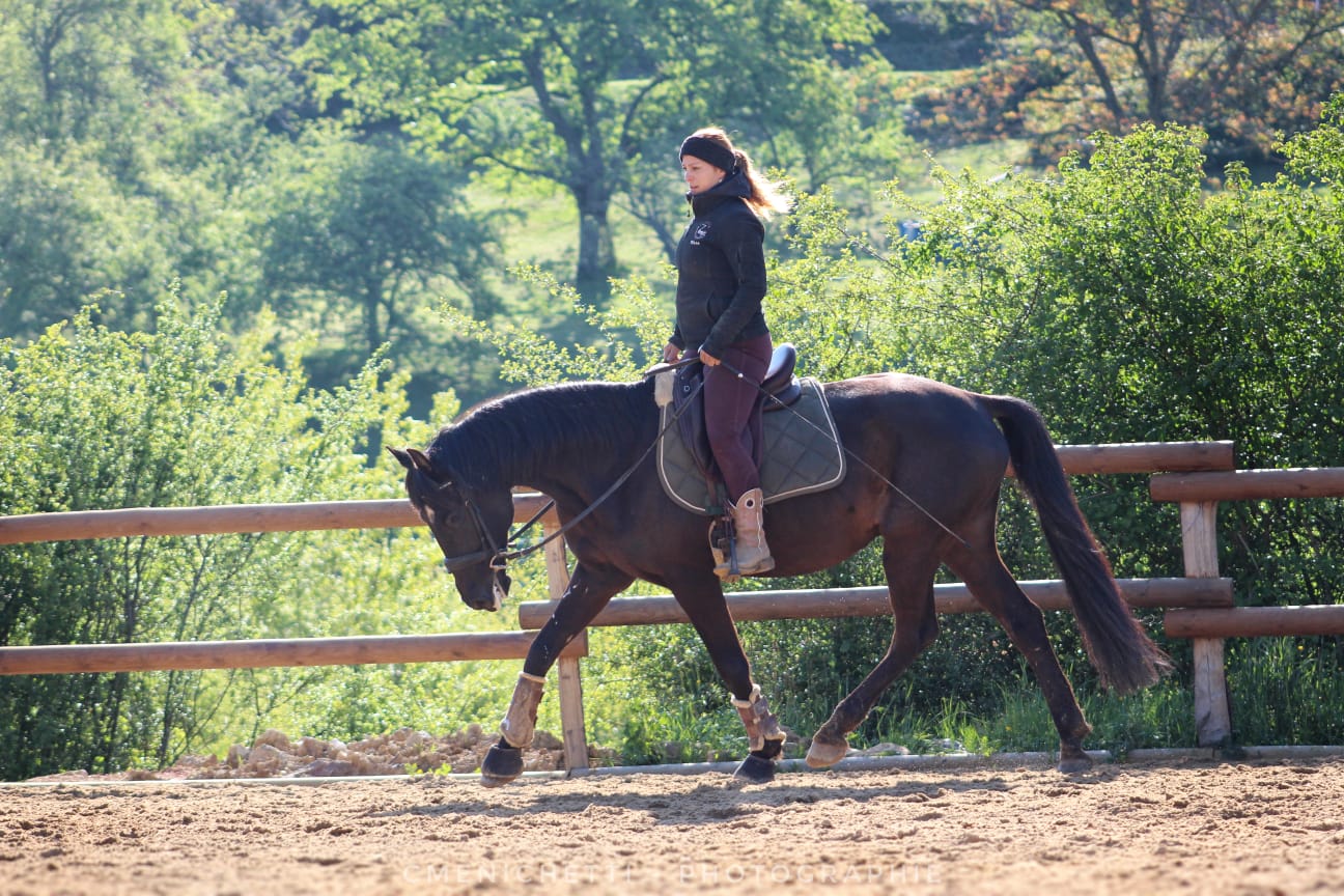 90b52b64-4fbf-4293-bd5c-4a25d536d9c6 Gilliane senn et son cheval