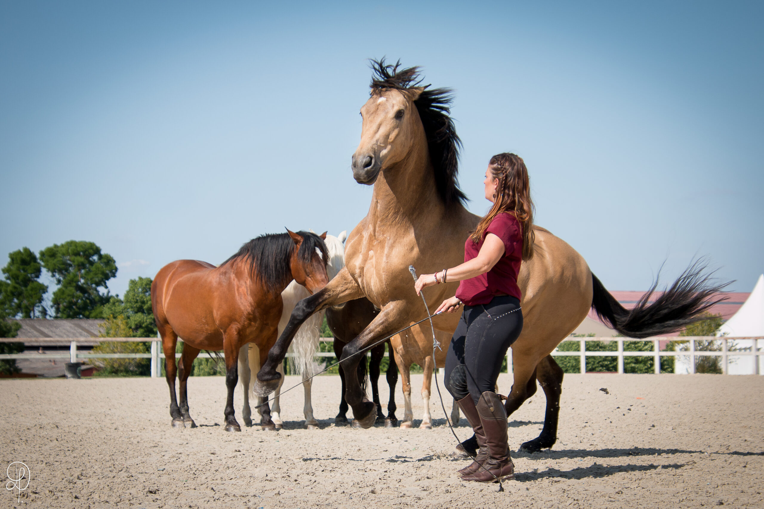 DP_20230526-16 Gilliane senn et son cheval