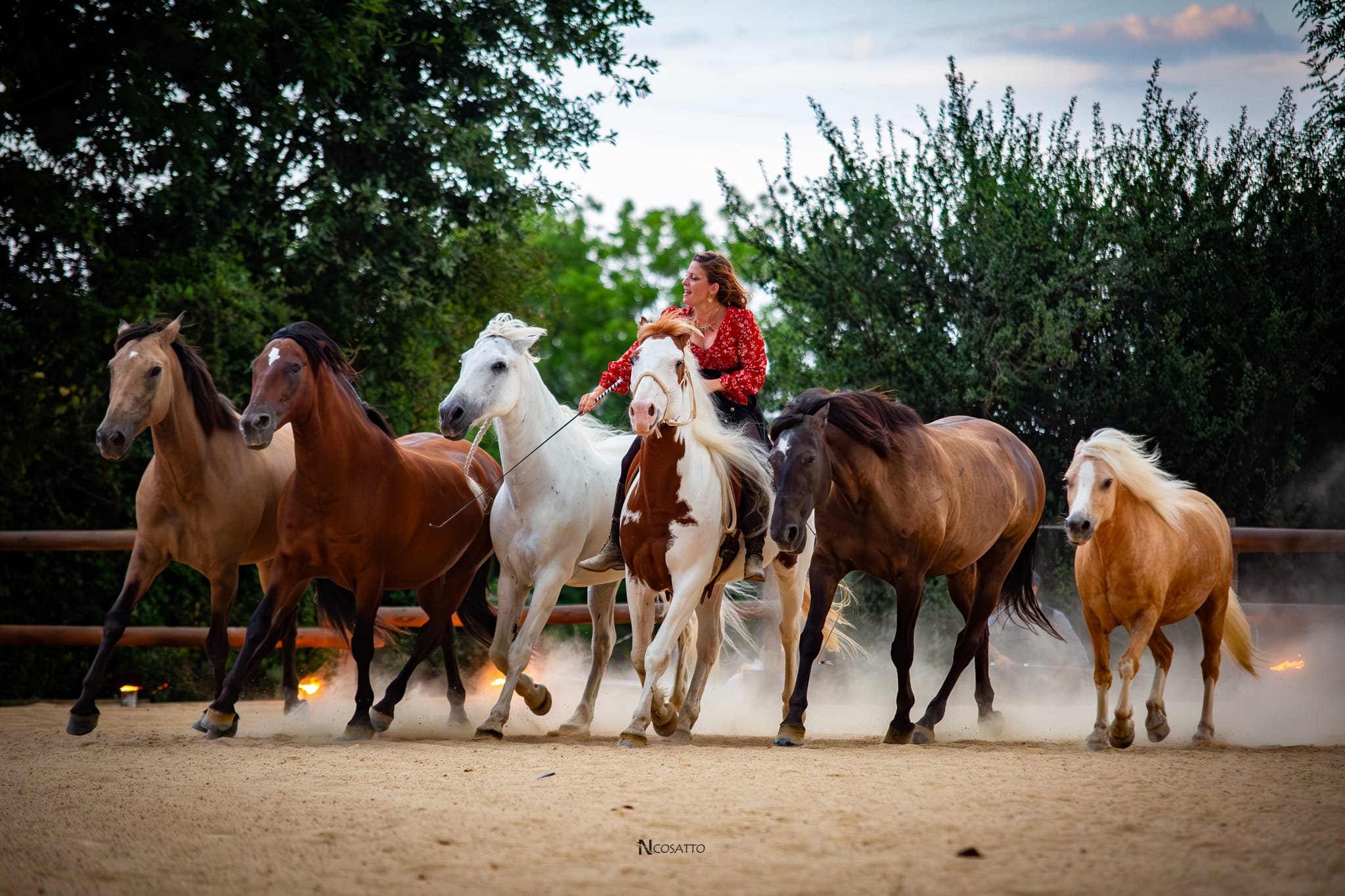 a0772f27-9393-41bd-b24c-82bdb9157db9 Gilliane senn et son cheval