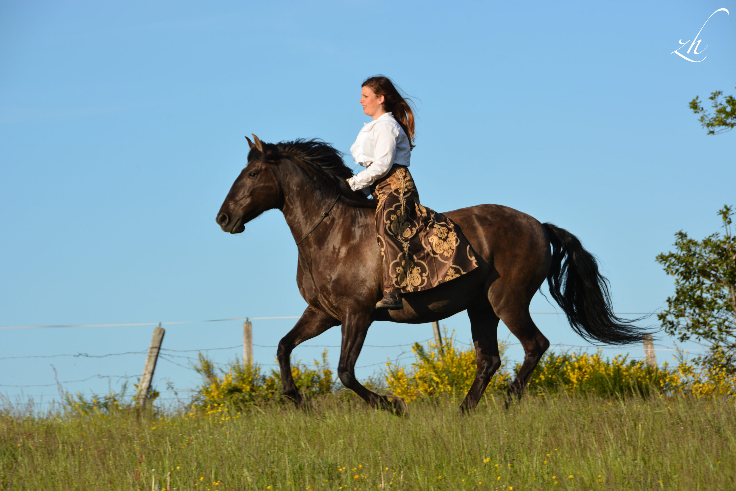 Stup mai 2021 1 Gilliane senn et son cheval