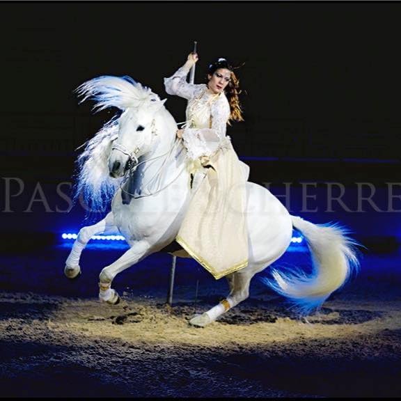 WhatsApp Image 2024-09-26 at 10.36.25 Gilliane senn et son cheval