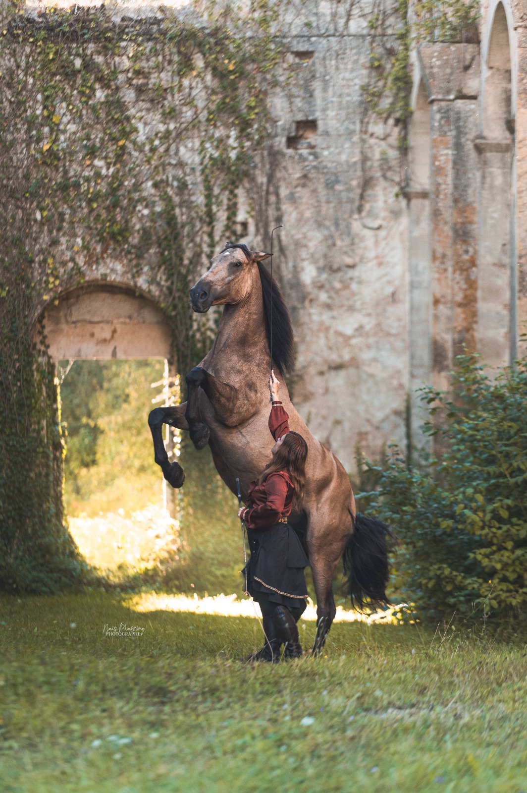 f9129488-9234-4b46-afa2-6e3b4daa3058 Gilliane senn et son cheval