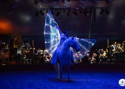Gilliane SENN et ses chevaux